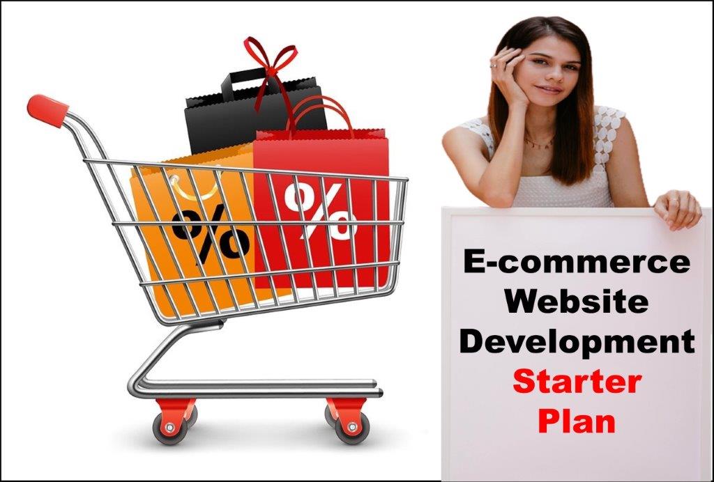 ecommerce website development agency in Montpelier Vermont