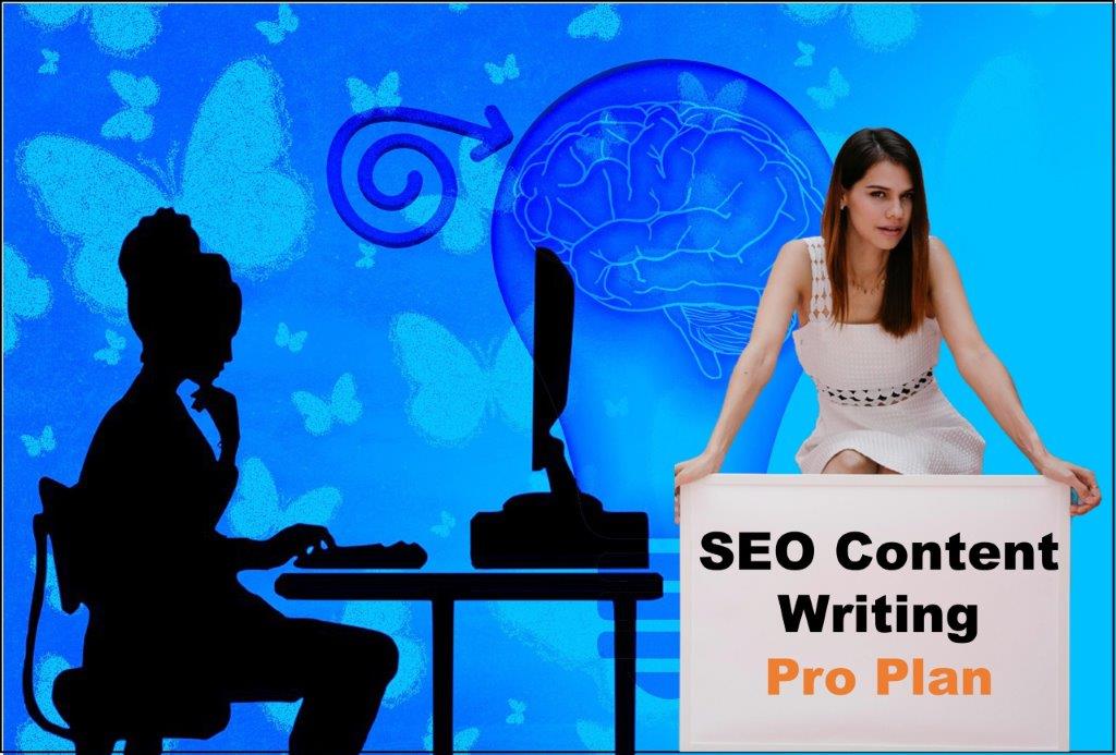 seo content writing agency Montpelier Vermont
